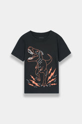 Boys Black Dinosaur Tee